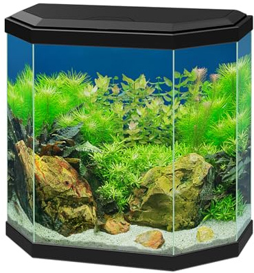 Ciano Aqua 30 Black LED Hexagonal Children's Stylish Cold Water Gold Fish Tank