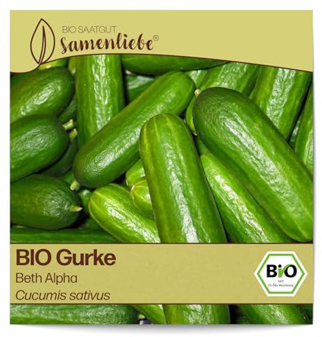 Samenliebe BIO Gurken Samen alte Sorte Beth Alpha Salatgurke Snackgurke grün 10 Samen samenfestes Gemüse Saatgut für Gewächshaus Freiland und Balkon BIO Gemüsesamen