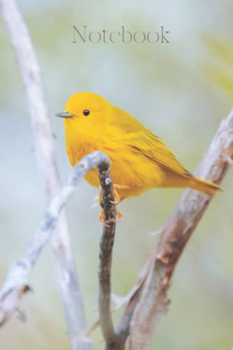 Notebook: Beautiful lined and dot grid journal for the bird and nature lover. Perfect for taking notes, journaling and sketching. Small format (6x9 inch), 240 pages total (120 lined and 120 dot grid).