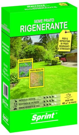 Sprint semi per prato universale rigenerante 1kg - 40m² sementi erba per tappeti erbosi danneggiati,favorisce una rapida ricrescita del prato,semi erba adatto alla rigenerazione del tappeto erboso