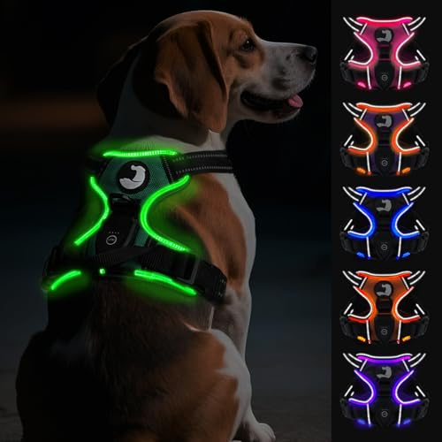 Joytale Harnais Lumineux Rechargeable pour Chiens de Taille Moyenne, HHarnais LED Anti-Traction Chien réglable réfléchissant avec poignée, pour Promener la Nuit, Vert, M