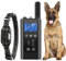 Hundehalsband,Geeignet für alle Hundetypen,Stabiles und einfach zu bedienendes Hundehalsbänder,Robust und langlebig gutes Halsband für Hunde zugeschnitten,Qualitäts-Hundehalsbänder. (AV111)