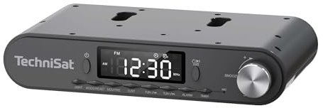 TechniSat Viola Radio de cuisine encastrable avec FM/FM, écran LED, lampe de travail, minuterie, Bluetooth, fonction réveil, mains libres, haut-parleur 5 W
