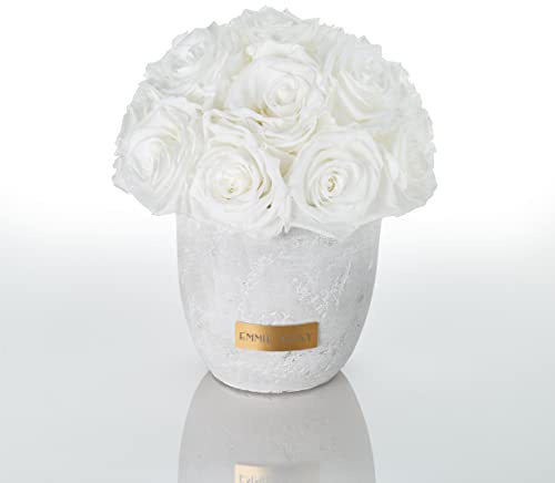 Solid Infinity Collection – drömlika Infinity rosor, 1–3 år hållbara rosor, betongvas med äkta, konserverade rosor, ädla premiumrosor – storlek S (Pure White)