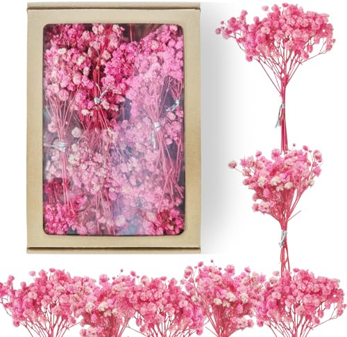 65 piezas Gypsophila seca rosa Gypsophila Gypsophila artificial Flores secas Gypsophila natural Gypsophila Flores secas para bodas Mini decoración Decoración del hogar DIY