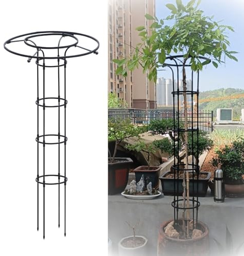 Traliccio da Giardino per Piante Rampicanti Gabbia di Supporto Verticale Antiruggine, Glicine e Rose, 90 120 150 180 210cm Supporto per Fiori da Esterno e Supporto per Arrampicata(Black,HIGH: 180cm/5.