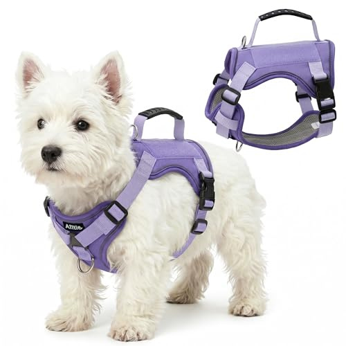 AIITLE hundsele för små hundar, ingen dragning, reflekterande, justerbar väst med handtag, dubbla metalllinneklämmor för promenader, för små och medelstora raser, lavendel, storlek XS