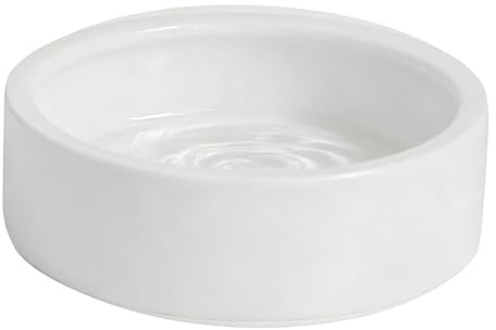 Agua para reptiles | Antifuga de cerámica – Alimento para cangrejos para, serpiente, , camaleón, ermitaño y dragón barbudo