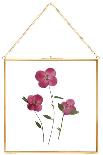 REDHUGO Glass Pressed Flower Frames,Vintage Hanging Picture Frames with Chain,Handmade Brass Floating Picture Frame,Plant Specimen Wall Ornament Display Artwork DIY Family Photo,Square,Gold