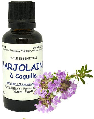 Huile essentielle de Marjolaine à coquilles (10 ml) Origanum majorana