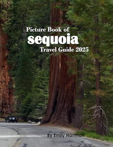 Sequoia National Park: A Beautiful Visual Journey for Travel and Photography Lovers
