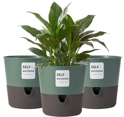 Bamworld Confezione da 3 Vasi con Autoirrigazione per Interni 16,5 cm, Vasi per Piante da Interno con Fori di Drenaggio, Fioriere Moderne per Piante da Interno per Camera e Ufficio (Verde)