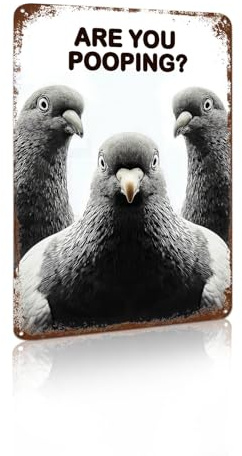 Targa divertente in alluminio con piccione Are You Pooping?, decorazione da parete per bagno, stanza della polvere, camera da letto, bar, caffetteria, 20 x 30 cm, decorazione umoristica (26041)