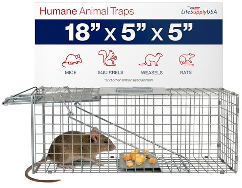 18 Humane Squirrel Trap Live Animal Trap Cage for Squirrel, Mice, Rabbit, Rat Traps Catch and Release Small Animal Traps for Indoor Outdoor by LifeSupplyUSA