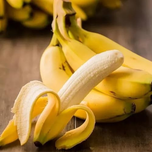 semi di banano resistenti alla di banana, letto rialzato banane di banana, d'appartamento di verdi 15pcs