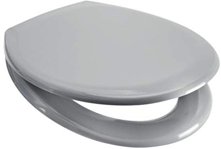 Euroshowers Rainbow Soft Close Toilet Seat (Light Grey)