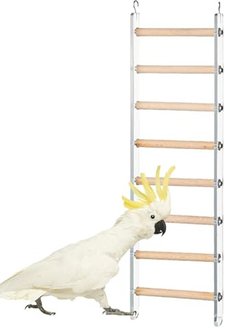 Bird Ladder for Cage, Bird Cage Ladder Steg abborre för bur