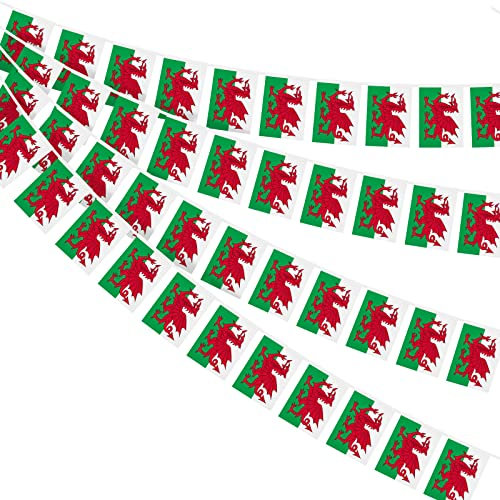 AhfuLife Welsh Flag Bunting 30pcs Flags for St David's Day, 10m Double Sided Wales Welsh Dragon Bunting for Six Nations Rugby Euro World Cup Football Party Decorations (20 x 28 cm - 12m, 1 Pack)