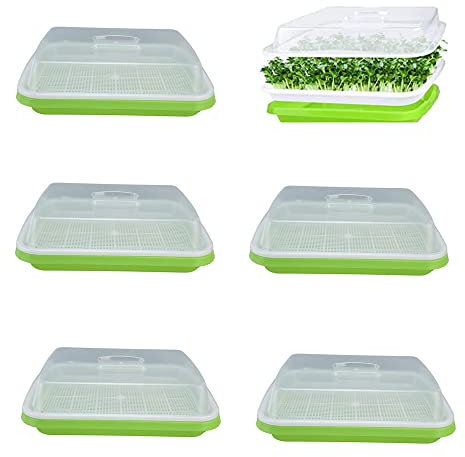 Rigute 6 Stück Seed Sprouter Tray, Keimschalen für Sprossen mit Deckel, Treibhaus Anzuchtschale, 32cm x 26cm Baumschule Tablett für große Samen Keimung Garten Home Office