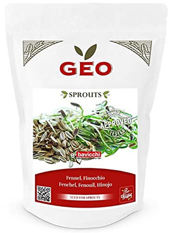 GEO Graines à Germer – Fenouil – Graines à Cultiver Bio pour Salades et Plats avec Germination Rapide pour Culture en Germoir – 150g