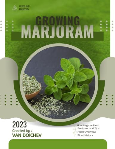 Marjoram: Guide and overview