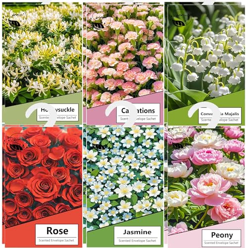 12PCS Sachet Parfumé Armoire Sent Bon Maison, Sachets Lavande Placards Parfum Voiture, Sachet Armoire Parfumé, Parfum Ambiance Maison Parfum d'intérieur, Desodorisant Vetement Armoire (Multi)