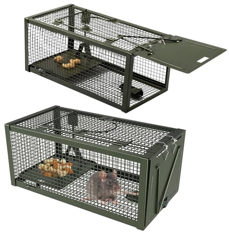 TUXUNQING Piège à Souris Vivante XL, Cage à Rat en Acier Inoxydable Antirouille. Piège sans Cruauté, Réutilisable, Adapté aux Petits Rongeurs pour la Maison, Le Jardin et Le Garage. (Grün)