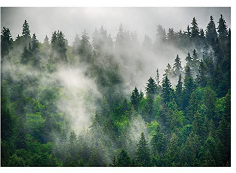 Fototapete Wald im Nebel Landschaft Panorama Bäume Natur - inkl. Kleister - für Wohnzimmer Schlafzimmer Flur Vlies Tapete Vliestapete Wandtapete Motivtapeten Montagefertig (416x290 cm)