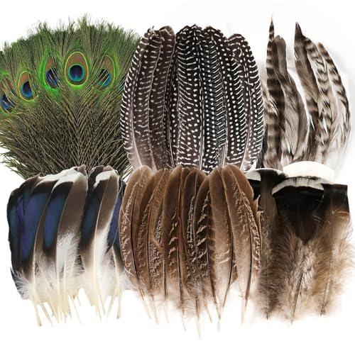MWOOT 48 Piezas Plumas Naturales, 6 Estilos Plumas de Pavo Real Plumas de Cola de Faisán Plumas de Pavo para DIY Manualidades, Plumas Decorativas para Mascarada de Carnaval Boda Fiesta