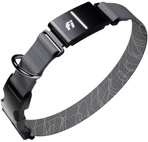 Fi New Series 3+ Smart Dog Tracker Collar [12 Month Membership Included] GPS Tracker for Dogs with Health & Behavior Monitoring, Escape Alerts, Waterproof, LED, Apple Watch Compatible (Gray, Large)