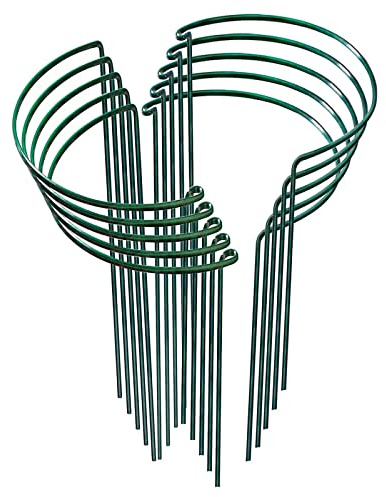 Plant Support Stakes,10Pack Metal Garden Plant Stake,Green Plant Support Ring Cage for Tomato,Rose,Flowers (10)