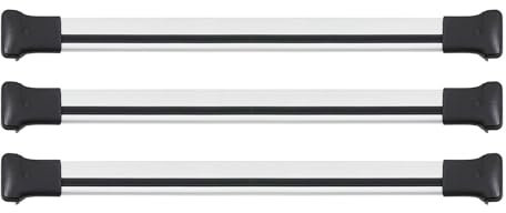 OMAC Dachträger Gepäckträger kompatibel mit Opel Vivaro 2014-2024 Relingträger Alu Silber 3X