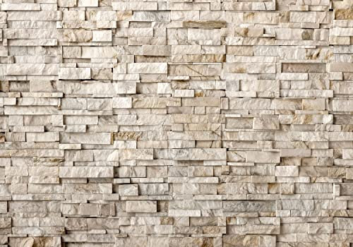 decomonkey Fototapete Steinwand 400x280 cm Tapete Fototapeten Vlies Tapeten Vliestapete Wandtapete moderne Wand Wandbild Schlafzimmer Wohnzimmer Deko Stein Mauer Ziegel Steinoptik beige braun