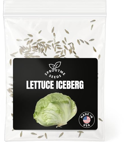Iceberg Lettuce Seeds for Planting – 500+ Non-GMO Heirloom Crisphead Lettuce Seeds (Lactuca Sativa)