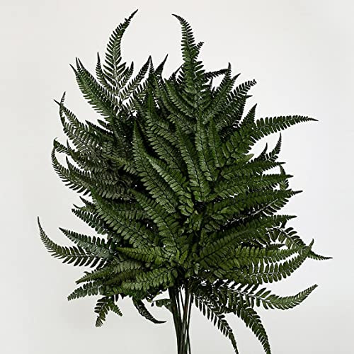 Prefleur Preserved Real Ferns Dried Tips Stems Wedding Garlands Home Decorations Bouquets Flower Arrangements Wall Hanging (Dark Green)