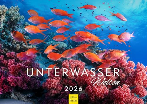Edition Seidel Calendario de pared prémium de Mundos submarinos 2026, formato DIN A3, calendario de pared, mar, océano, animales marinos, peces, cristiano Müringer
