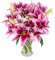 Stargazer Lilies - Fresh Flowers - Birthday, Anniversary, Get Well, Thank You, Occasion Flower - Cut Floral Arrangement for Home Décor, Gifts, Weddings, Sympathy, Celebrations, Mothers day - Standard