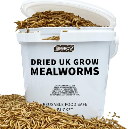 Premium Dried Mealworms in 5L, 10L, and 20L Buckets - High Protein Bird Feed for Wild and Garden Birds - Natural and Nutritious Bird Food (5 Litre)
