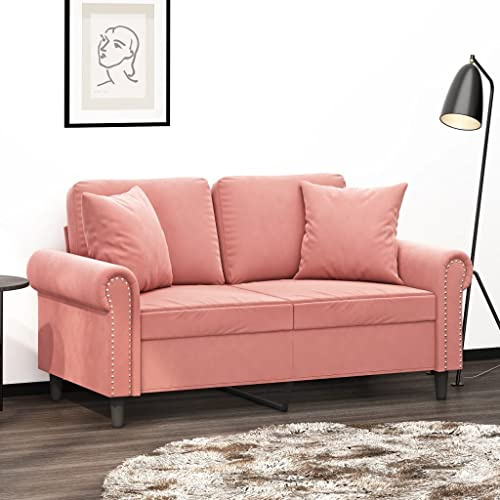 Generico Cuscini Decorativi 2 pz Rosa 40x40 cm in Velluto,Cuscini foderati-349488