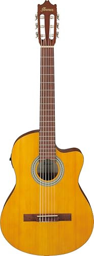 Ibanez Acoustic Gitarre / GA3ECEOAM Standard
