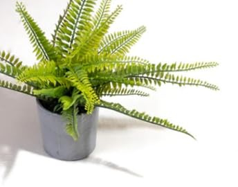 VINYL FLOORING UK White Anti-Slip Plain Effect Anti-Slip Vinyl Flooring for LivingRoom Hallways Kitchen 2.0mm Thick Cushion Backed Waterproof Linoleum Flooring-1m(3'3) X 2m(6'6)-2m²