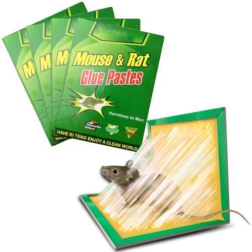 AURSTORE BASA Piège à Souris,Pièges à Rats,Plaques Collantes Souris, Plaques de glu Anti Souris Anti Rat - (Couleur aléatoire) Lot de 5