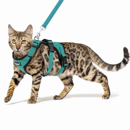 PUPTECK Cat Harness and Leash Set Escape Proof for Walking, Breathable Mash Vest Adjustable Harness for Cats Puppy Small Animals, Reflective at Night, Green Small