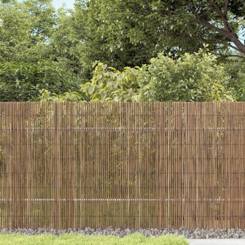 Tonture Recinzione da giardino, 1000 x 80 cm, in canna naturale con telaio in metallo, elemento di recinzione versatile per frangivista, terrazza, giardino anteriore e delimitazione per esterni