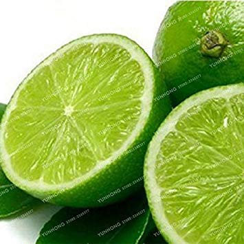 Limonero Alto Tasso di Sopravvivenza di Frutta Balcone Impianto per Il Giardino Domestico di 20 Partes/Pacto: 1
