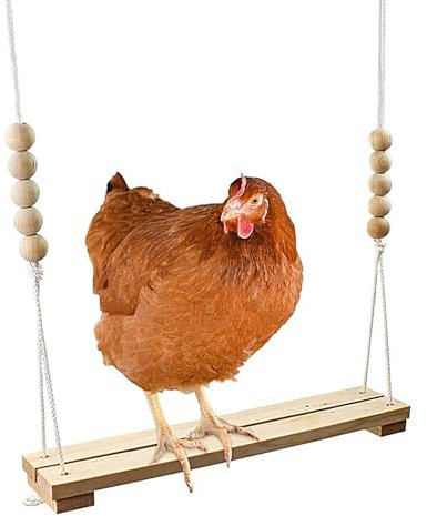 Hühnerschaukel, Natürliche Holzschaukel Für Hühnerstall, Hühnerbedarf Für Stallhaltung Freilaufgehege Garten Und Terrasse