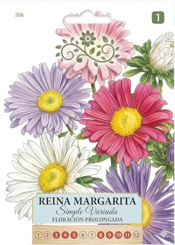 Jardín Colorido con Semillas de Margarita Reina para Maceta o Exterior – Floración Decorativa | DECOALIVE