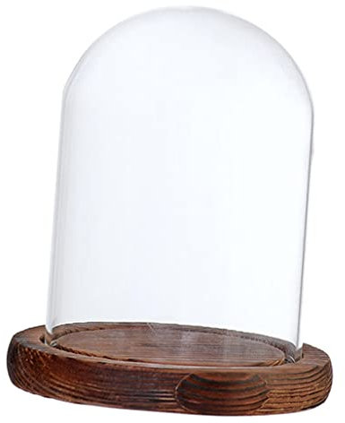 HomeDecTime Blumentopf aus Glas, transparent, glockenförmig, braun B