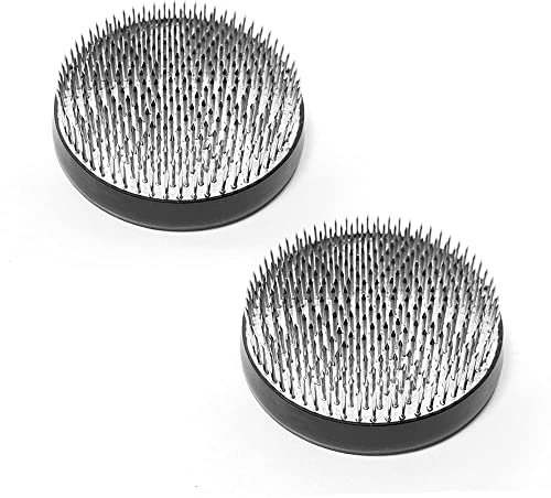 alladaga Blumen Frosch Edelstahl Runder Halterung Blumensteckiggel (7cm (2 Stücke))