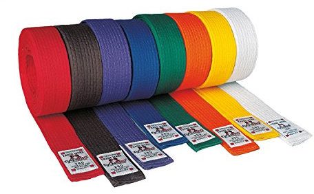 Danrho Taekwondo Judo Ju Jutsu Karate Gürtel 4 cm einfarbig